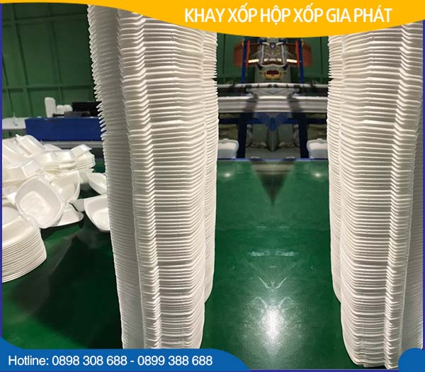 Khay, hộp xốp	